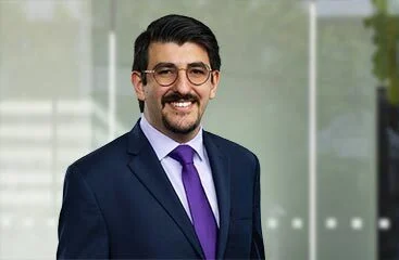 Photo of Ali R. Rahnavard